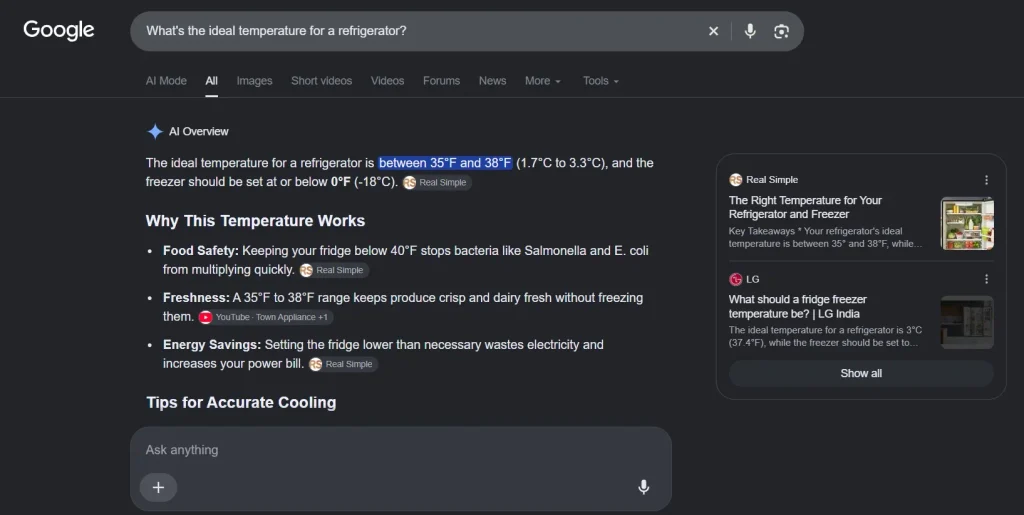 Google AI Overview (GEO)